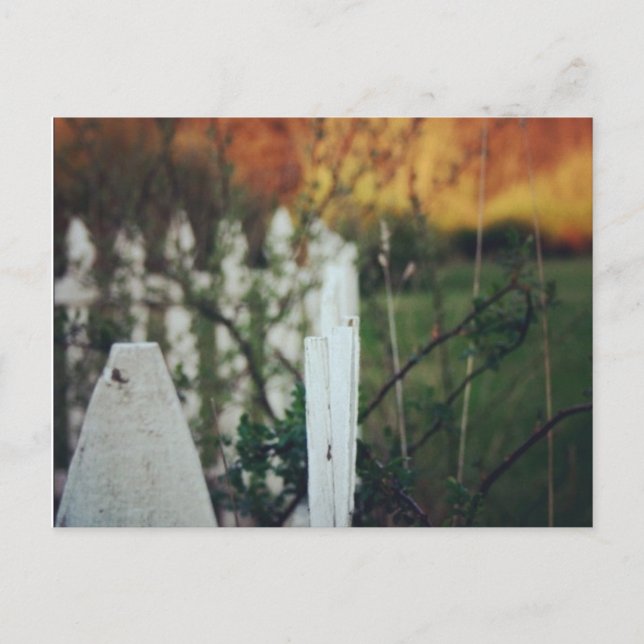 Cartão Postal Solstício de verão (Frente)