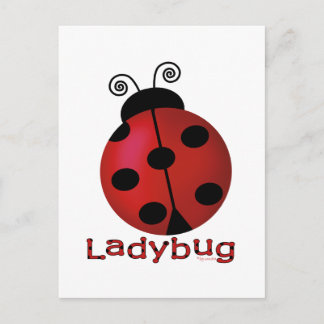 Cartão Postal Solteiro Ladybug