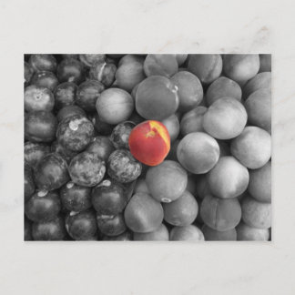 Cartão Postal Solteiro Saída