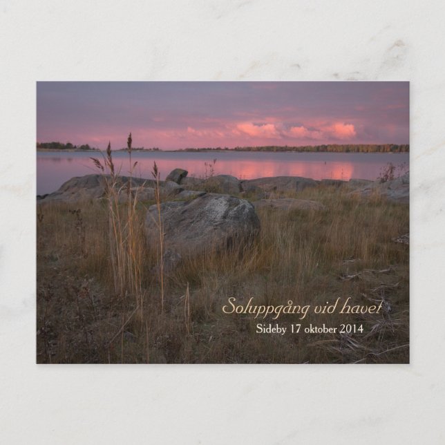Cartão Postal Soluppgång vid havet CC0760 Sideby Siipyy (Frente)