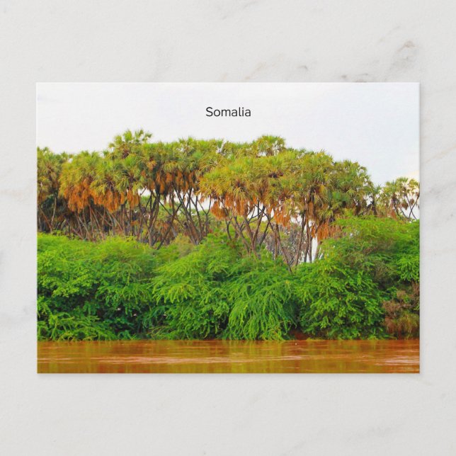 Cartão Postal Somália, fotografia da paisagem (Frente)