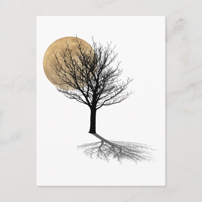 Cartão Postal Sombra (Frente)