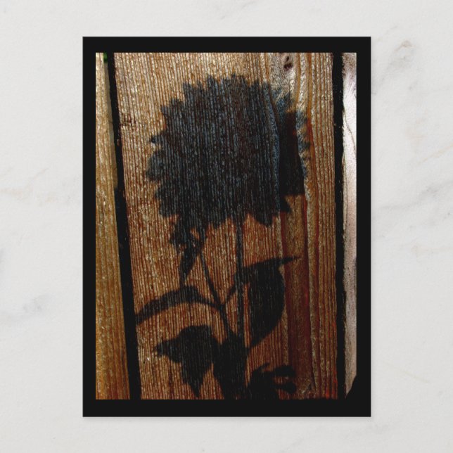 Cartão Postal sombra (Frente)