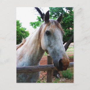 Cartão Postal Sombra