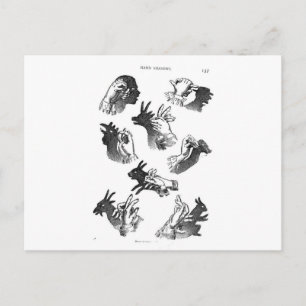 Cartão Postal Sombras de Mão na Parede