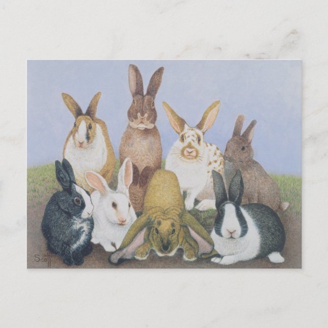 Cartão Postal Somos Todos Ouvidos (Frente)