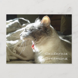Cartão Postal Sonho da Califórnia