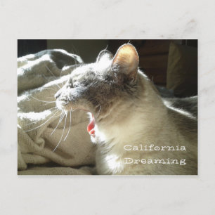 Cartão Postal Sonho da Califórnia