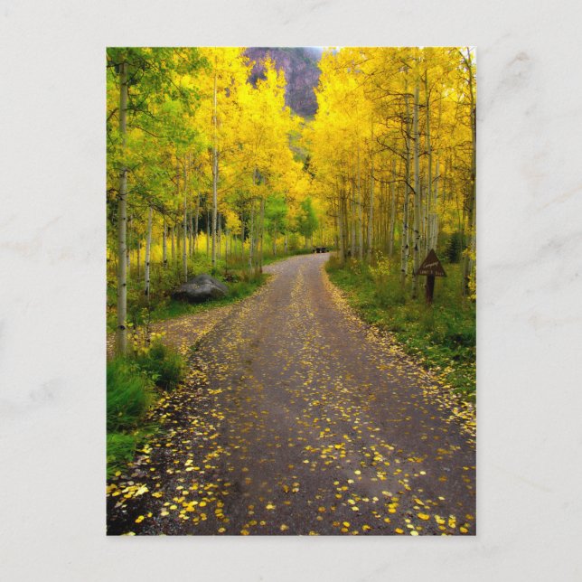 Cartão Postal Sonho de outono (Frente)