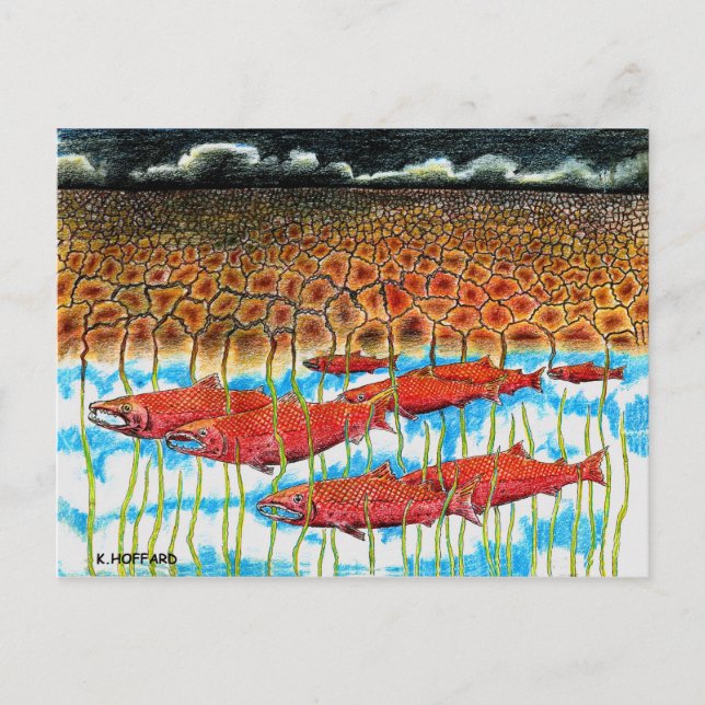 Cartão Postal Sonho de Peixe (Frente)