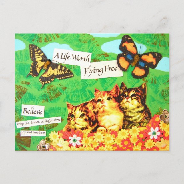 Cartão Postal Sonho De Voo - Vintage (Frente)