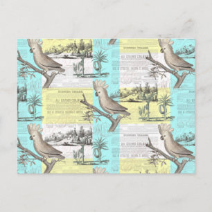 Cartão Postal Sonho Tropical de Cockatoo
