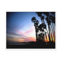 Sonhos da Califórnia