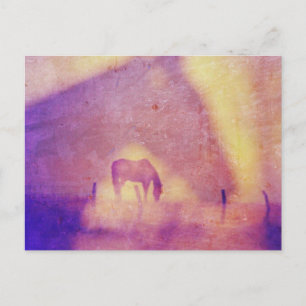 Cartão Postal Sonhos de Cavalo por Angelandspot