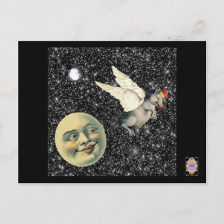 Cartão Postal Sonhos de Porcos