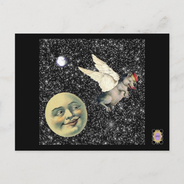 Cartão Postal Sonhos de Porcos (Frente)