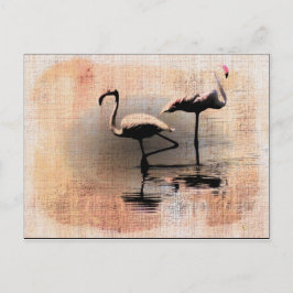 Cartão Postal Sonhos Flamingo