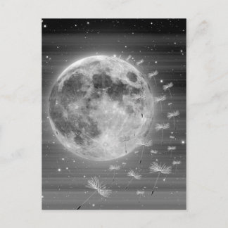 Cartão Postal Sonhos Que Voam Postcard