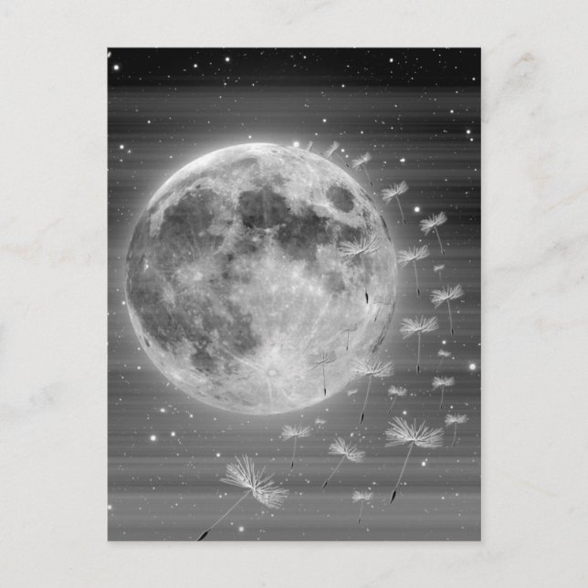 Cartão Postal Sonhos Que Voam Postcard (Frente)