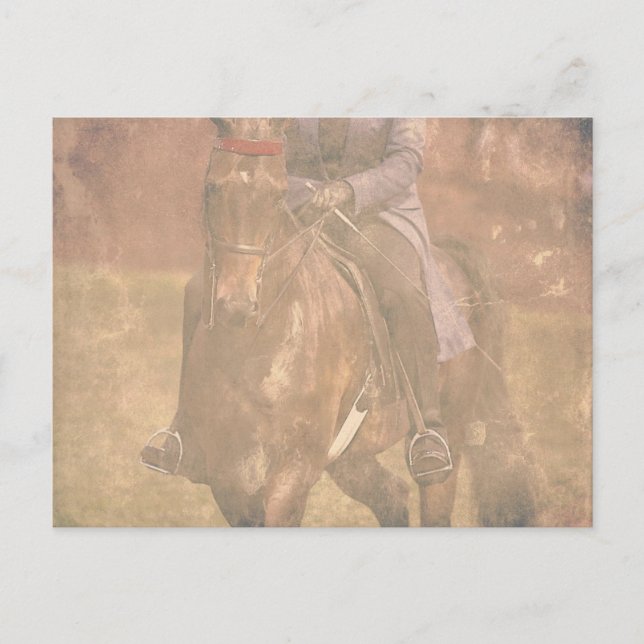 Cartão Postal Sonhos Saddlepurados (Frente)