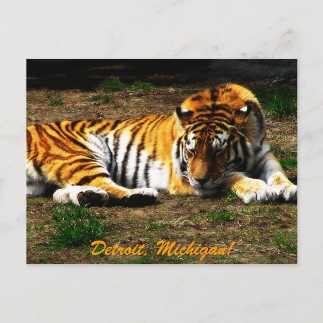 Cartão Postal Sonolência (Frente)