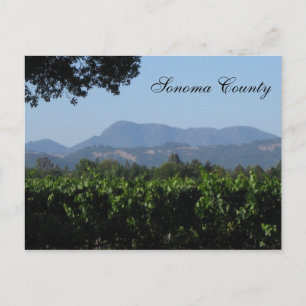 Cartão Postal Sonoma Paisagem !