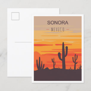 Cartão Postal Sonora Mexico Art Viagens vintage Illustration