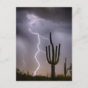 Cartão Postal Sonoran Desert Monson Storming