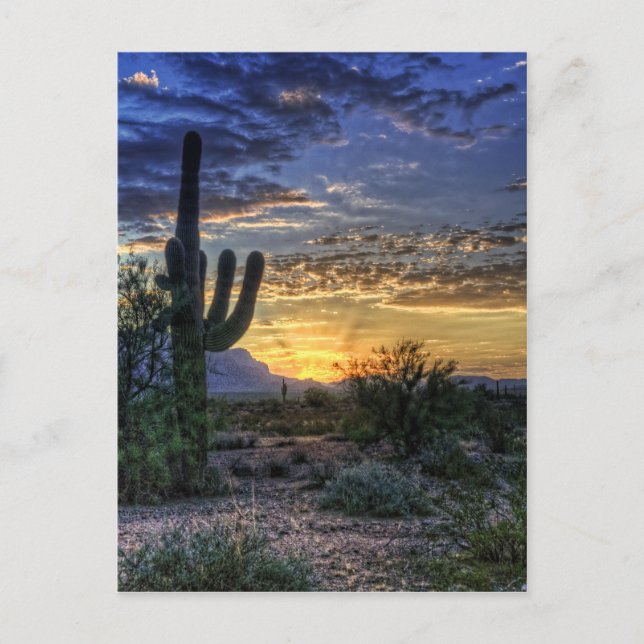 Cartão Postal Sonoran Sunrise (Frente)