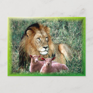 Cartão Postal Soothes the Soul -