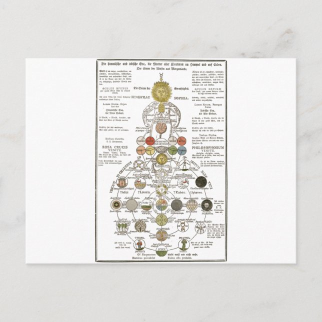 Cartão Postal Sophia - para transformar o espírito (Frente)