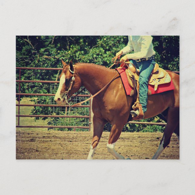 Cartão Postal Sorrel Ocidental (Frente)