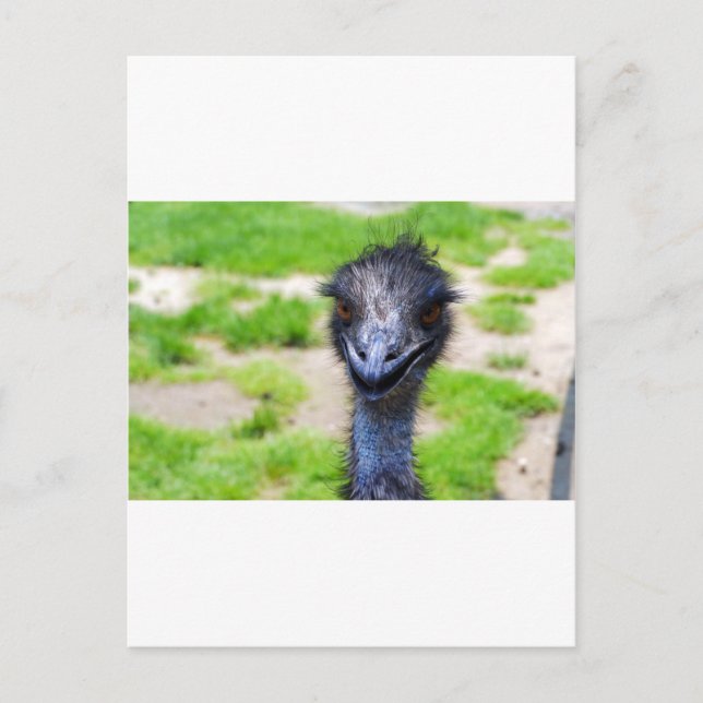 Cartão Postal Sorria (Frente)