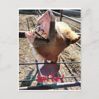 Cartão Postal Sorria!