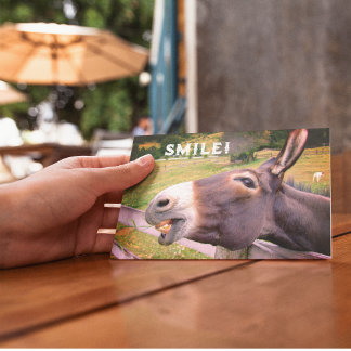 Cartão Postal Sorrir Donkey em uma pastagem personalizável