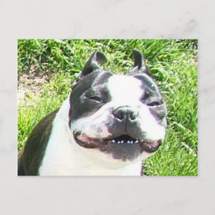 Cartão Postal Sorriso