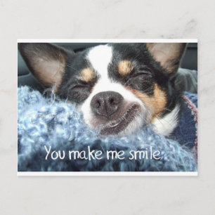 Cartão Postal Sorriso de cachorro Chihuahua