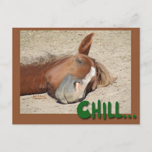Cartão Postal Sorriso de Cavalo Adormecido: Relaxado