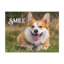Sorriso de Corgi Cão Engraçado Sorriso de Animal