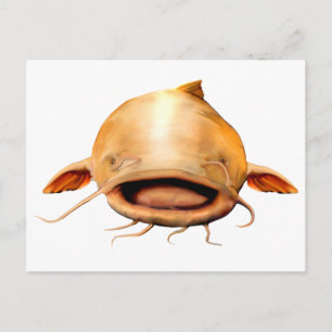 Cartão Postal Sorriso de pesca