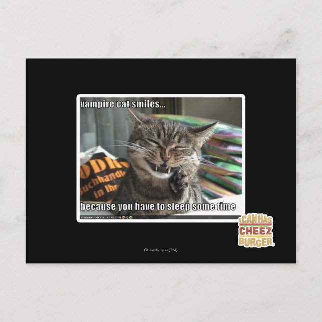 Cartão Postal sorrisos vampiros de gato (Frente)