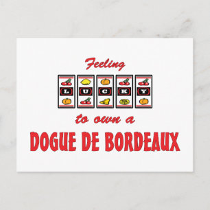 Cartão Postal Sorte de possuir um Design de Cachorro Divertido d