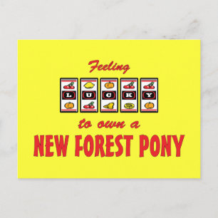 Cartão Postal Sorte de ter um novo Design de diversão de pônei f
