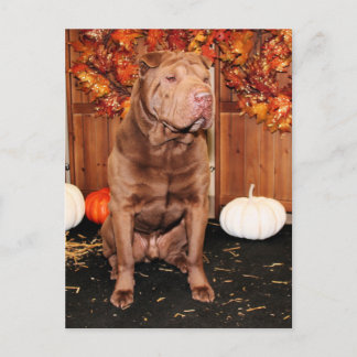 Cartão Postal Sorte - Shar Pei - Hildebrand