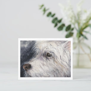 Cartão Postal Sortudo