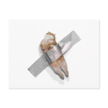 Sou a melhor banana!