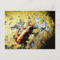 Sou Diferente para Você?/Noite de Sair Bela