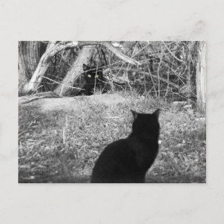 Cartão Postal Sou eu?