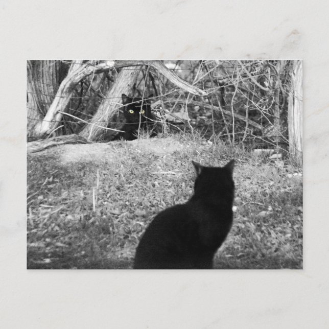 Cartão Postal Sou eu? (Frente)