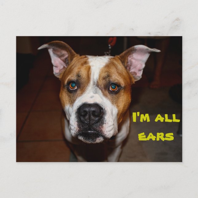 cartão postal, sou todo ouvidos (Frente)